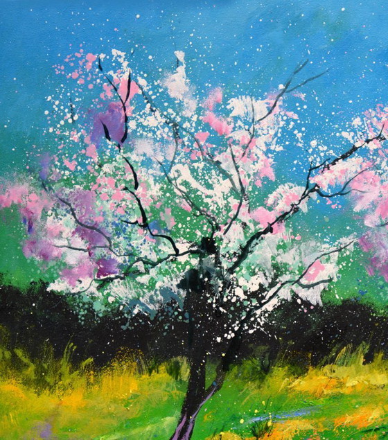 Image 1 of Primavera 8726