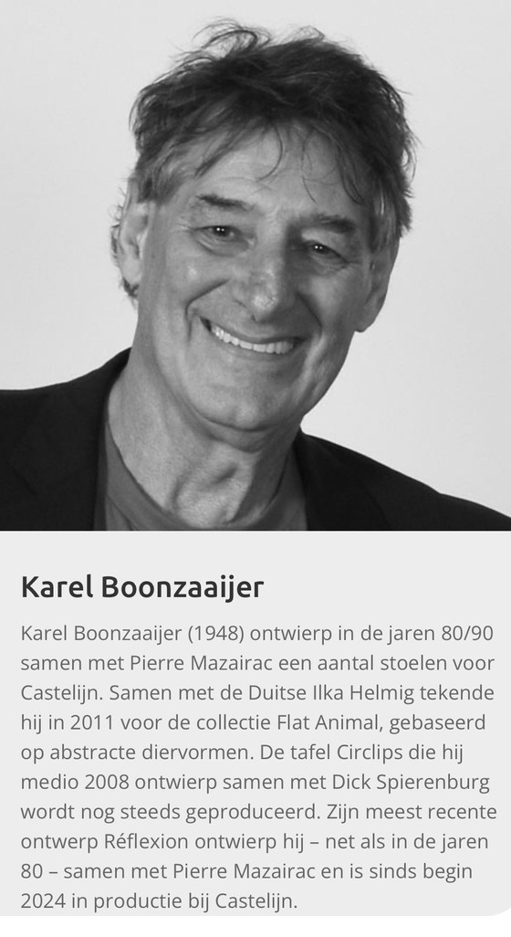 Image 1 of Castelijn 4 design stoelen model Tambour 