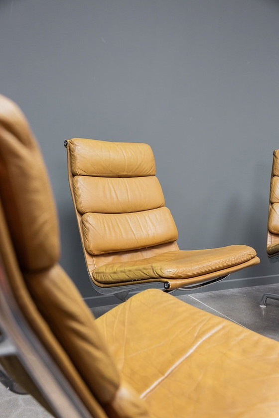 Image 1 of Poltrone lounge Eames EA216, 2 pezzi