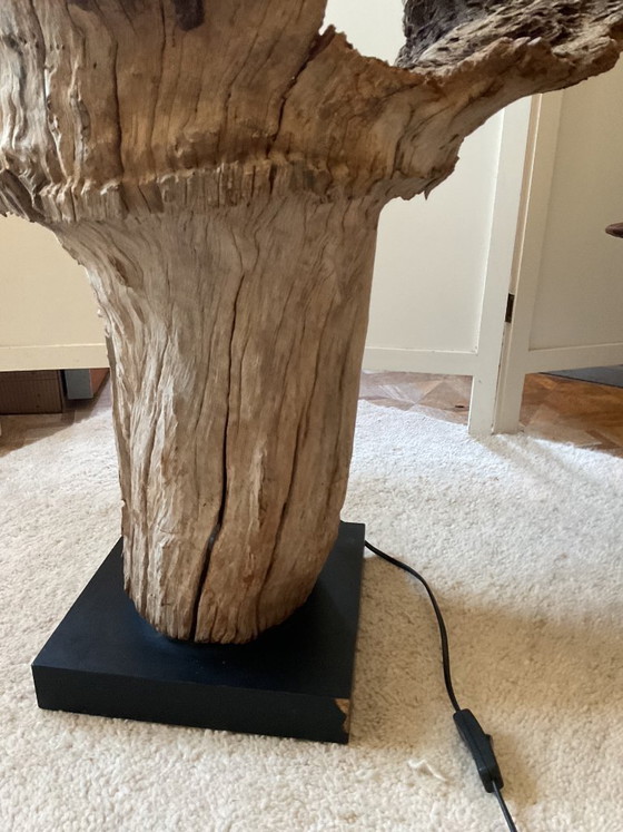 Image 1 of Magnifique lampe en souche d'arbre du Bhoutan