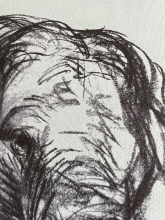 Image 1 of Franz Marc (1880-1916), Elefant, 1907, Printed in Italy 