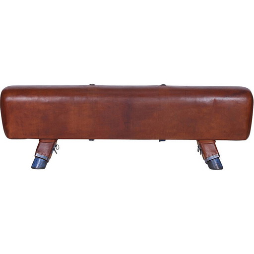Banc de gymnastique vintage en cuir pour cheval d'arçon, Tchécoslovaquie années 1930