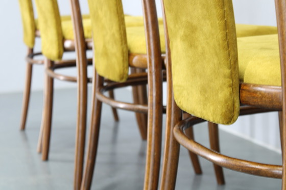 Image 1 of Juego de cuatro sillas de comedor de madera curvada de haya restauradas de la década de 1970, de TON, Checoslovaquia