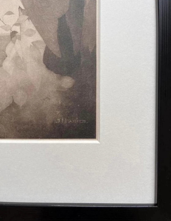 Jan Mankes 1889-1920 / Corvo Heliogravure originale a Berkenboom 1923 – Litografie e stampe, Paper (photo 2 of 10)