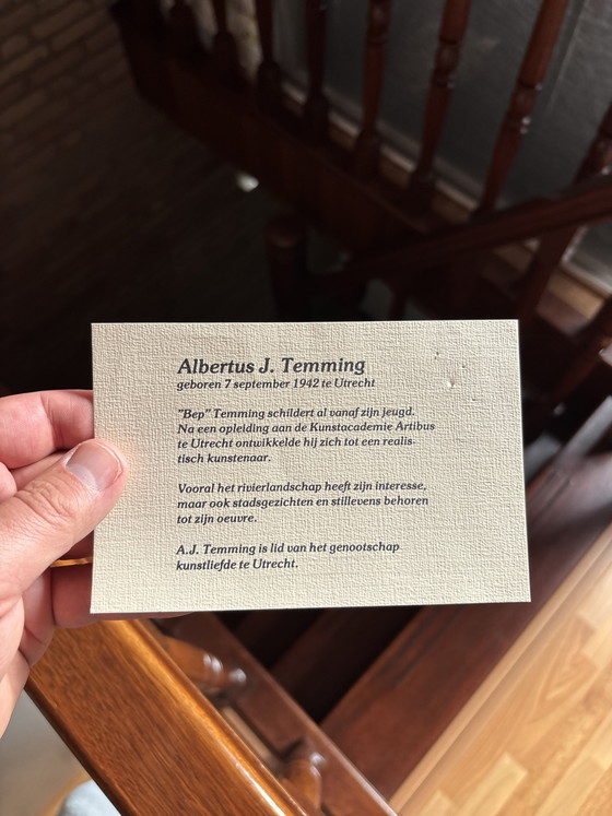 Image 1 of Schilderij van temming