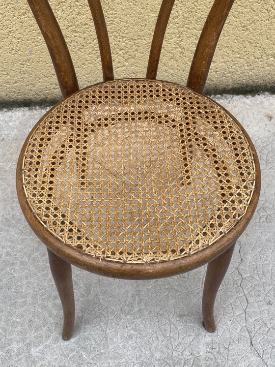 Image 1 of Sedia da bistrot vintage Thonet – Modello n. 14