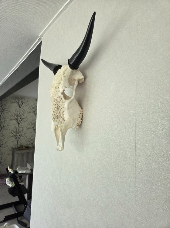 Image 1 of Hand-Carved Cow Skull – Unique Fern Motif (Boho-Ibiza)
