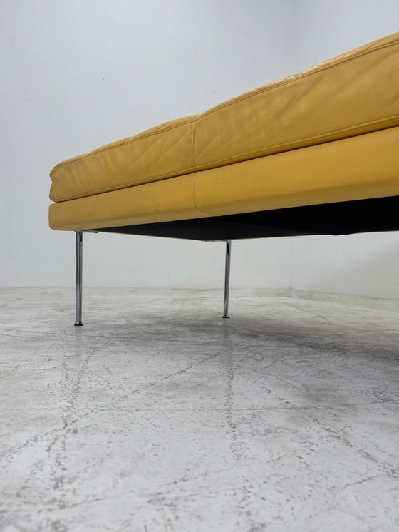 Image 1 of Poltrona Frau Hydra Castor disegnata da Luca Scacchetti