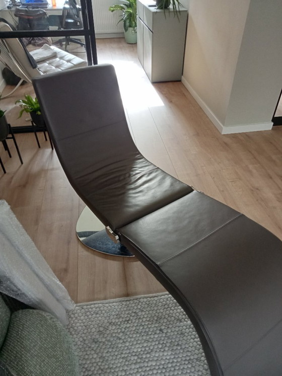 Image 1 of Libellule Bonaldo