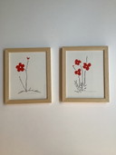 Flowers Aki Kuroda