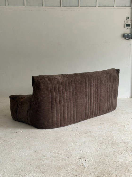 Bank Aralia Ligne Roset – Banken, Textiel (photo 2 of 5)