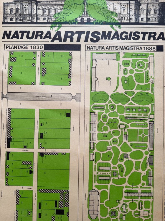 Image 1 of Natura Artis Magistra – Carte vintage du zoo Artis (Amsterdam)