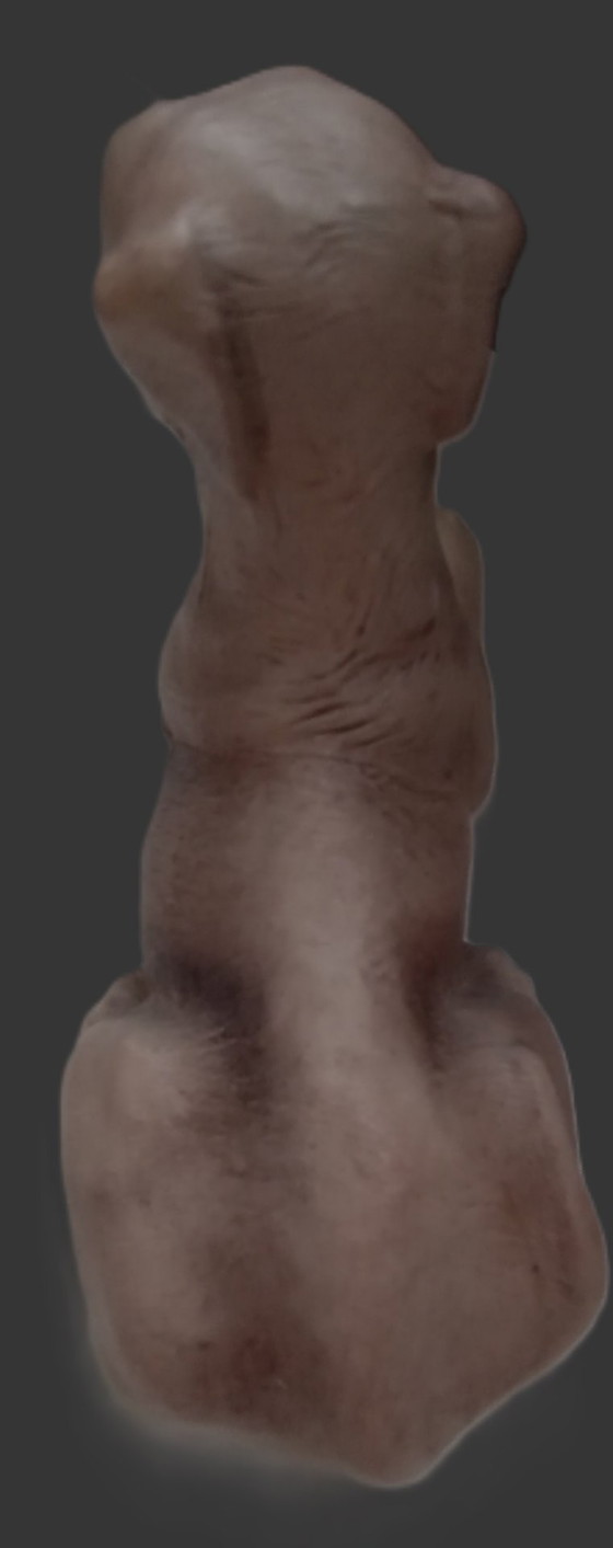 Image 1 of Borsa vintage in pelle Greyhound Château modellata a mano di metà secolo (Canada)