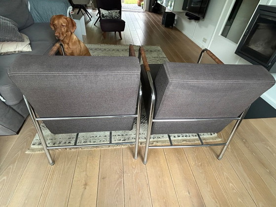 Image 1 of Chaise Minotti à structure tubulaire, lot de 2