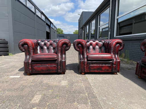 Sofá de 3+1+1 plazas color rojo burdeos – Chesterfield, banken, Leather, Wood (photo 2 of 7)