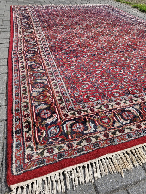 Vintage Handgeknoopt Perzisch Bidjar Tapijt – Iran – 305 x 200 cm – Vloerkleden en tapijten, Cotton, Wool (photo 3 of 15)
