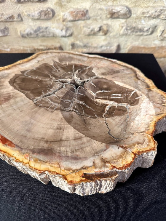 Image 1 of VIDE POCHE VINTAGE XXL 70