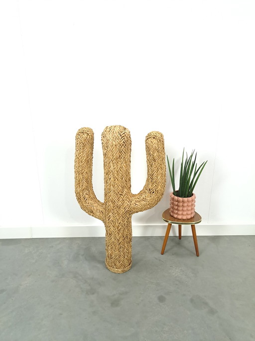 Cactus di paglia di rattan