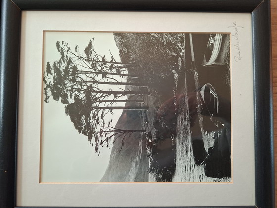 Image 1 of Deux superbes photos signées par Riona MacMonagle, dans leurs cadres d'origine.