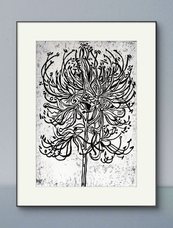 Image 1 of Spider Lily Linocut - Impresión botánica en blanco sobre negro