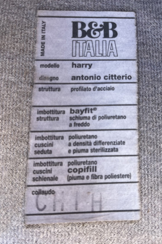 Image 1 of B&B Italia sofá Harry diseñador Antonio Citterio