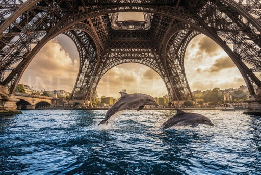 Foto stampata su plexiglass o alluminio / edizione limitata / firmata / Parigi sott'acqua / Torre Eiffel