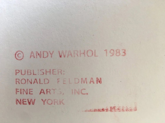 Andy Warhol-----Bighorn Ram (Endangered Species) – Litho's & Zeefdrukken, Paper (photo 3 of 5)