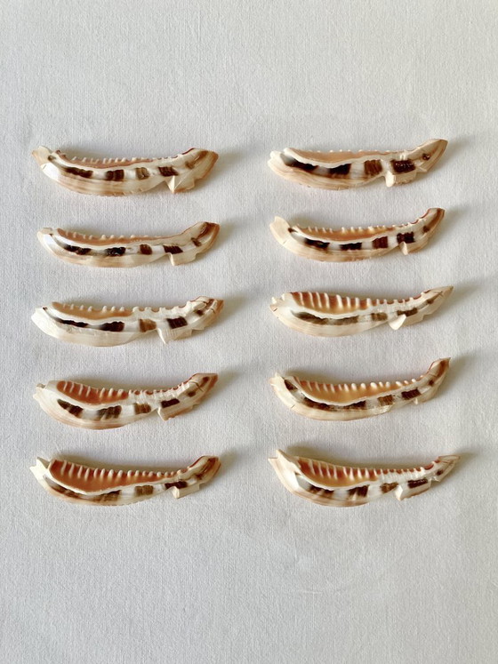 Image 1 of 10 fischförmige Messerauflagen