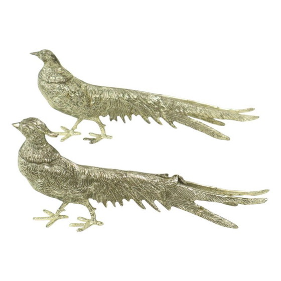 Image 1 of Images de faisans France