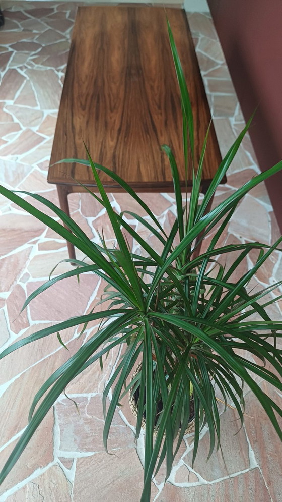 Image 1 of Ole Wanscher Dänisches Sofa aus Palisander