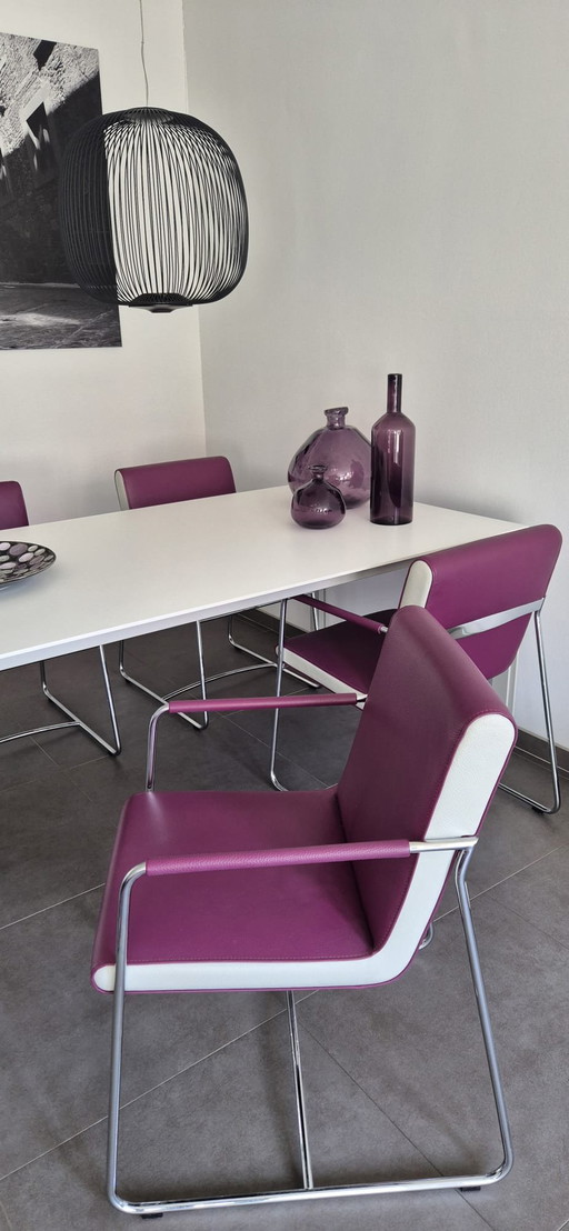 6 Leolux Dining Chairs Model Spring Orchid (4) and Spring Dancer (2).
