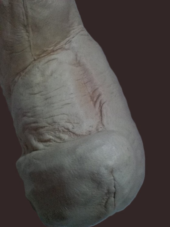 Image 1 of Shih Tzu in pelle artigianale di metà secolo – "Chateau Leather" (Canada)