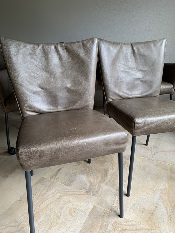 Image 1 of LABEL van den Berg Eetkamerstoelen Mali en Gabón