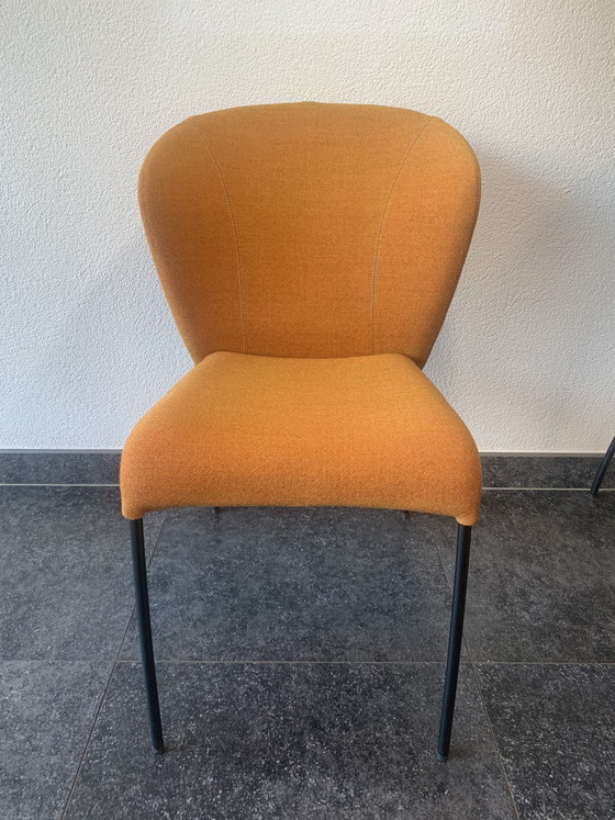 Image 1 of 8x dining or conference chairs, brand Montis, model Calla