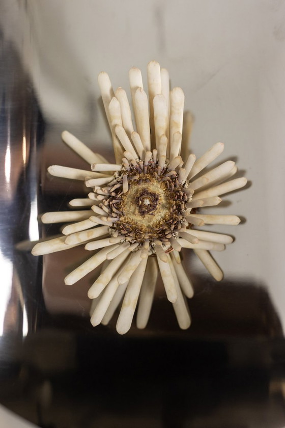 Image 1 of Par de grandes apliques de pared de metal pulido. Años 70.