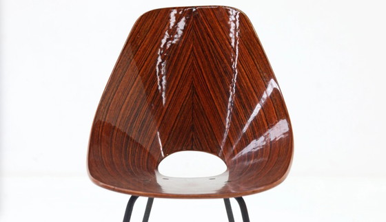 Image 1 of Sedie Medea di Vittorio Nobili per Tagliabue, anni '50