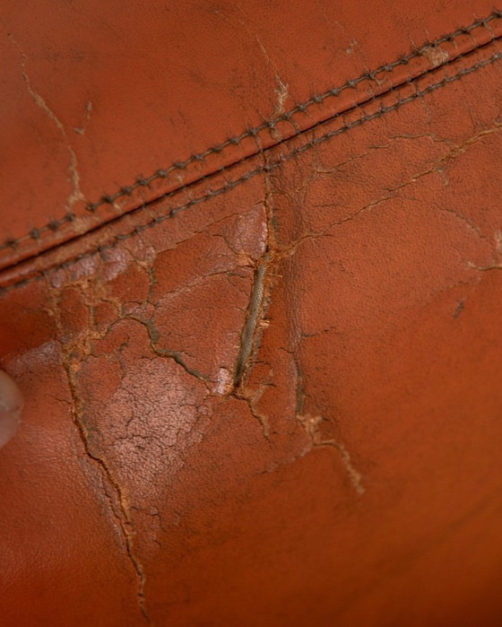 Image 1 of Poltrona lounge vintage Bonanza di Esko Pajamies per Asko, in rovere finlandese e pelle color cognac, anni '60.