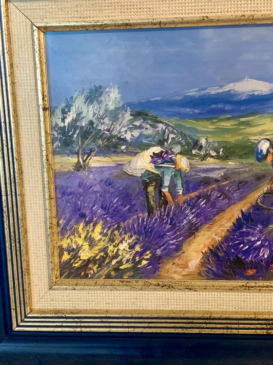 Provence - Lavender Harvest by Michel Christophe – Paintings & Drawings, Wood, Canvas (photo 7 of 14)