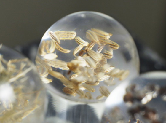 Image 1 of French Plexiglas Vintage Spice Container Jars – Set of 6 Preserved Herb Cylinders