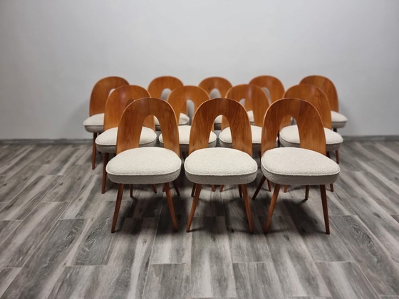 Image 1 of Dining Chairs from Antonin Suman, set of 12