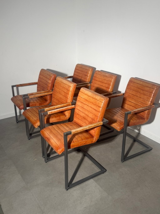 Ensemble de 6 fauteuils cantilever vintage en cuir cognac