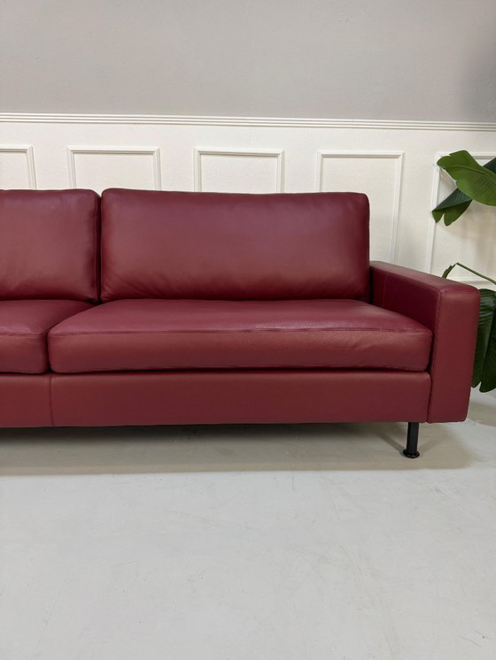 Image 1 of COR Conseta sofa leather bordeaux red + shelf exhibition piece