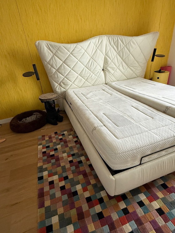 Image 1 of Poltrona Frau “Lelit” in pelle bianca, reti e materassi Lattoflex