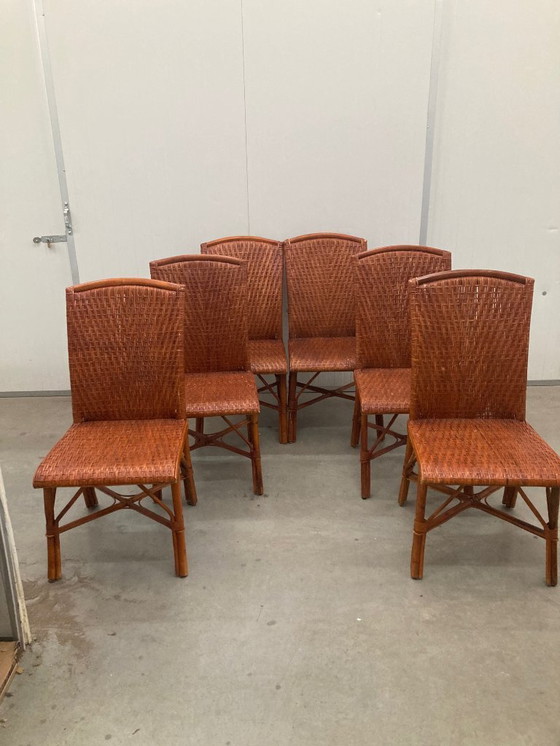 Image 1 of Sedie da pranzo vintage in rattan tropicale boho