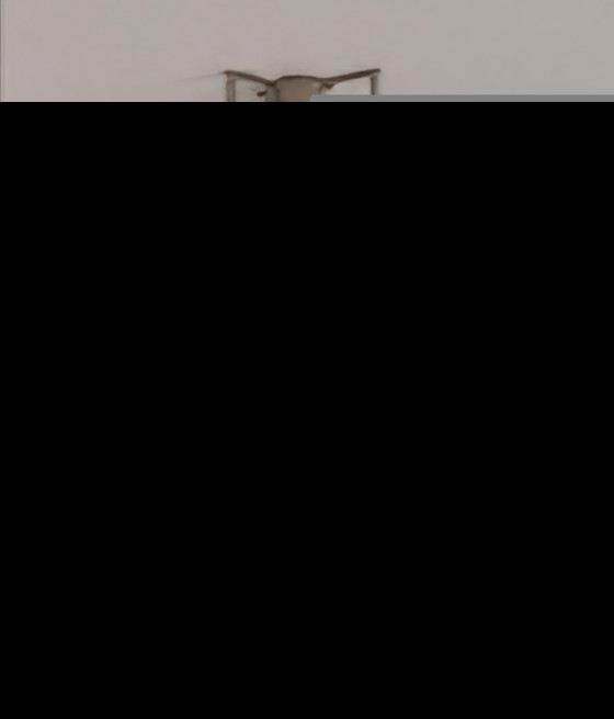 Image 1 of Pradina glass pendant lamp