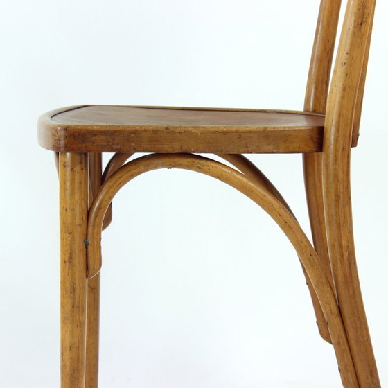 Image 1 of Vintage Thonet Bentwood Oak Chair With Original Label, Czechoslovakia, 1920s