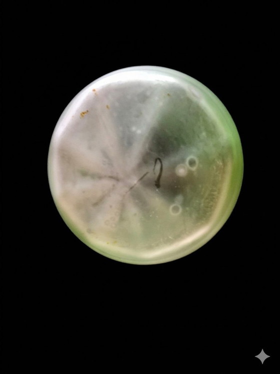 Image 1 of Alvin Sterling Overlay Satin Glass