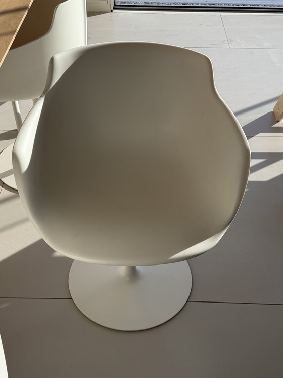 Image 1 of 6 sedie Flow in MDF Italia