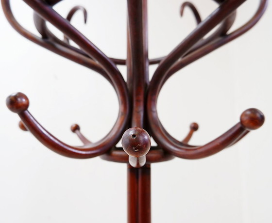 Image 1 of Grote kapstok van gebogen hout in de stijl van een papegaai, in de Thonet-uitvoering – begin 20e eeuw