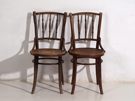 Antique bentwood dining chairs (c.1920). Set of 6 pieces #2 (photo 23 of 40)